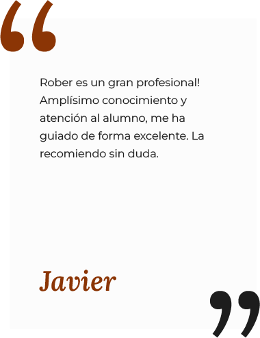 Recurso 295